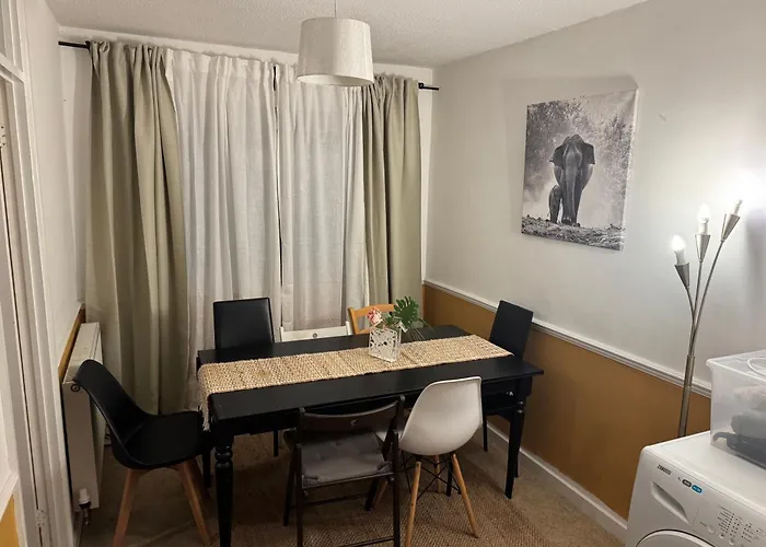 Sunflower * ブリストル